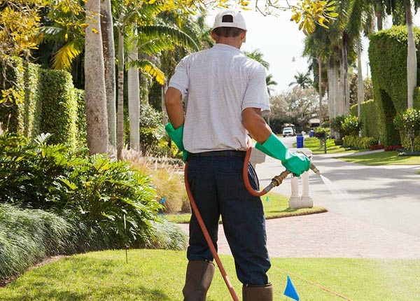 About Chinook MT Pest Control